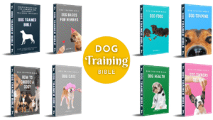 Dog Trainer Bible min