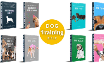 Dog Trainer Bible min