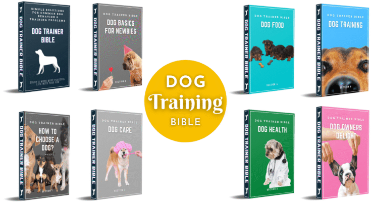 Dog Trainer Bible min